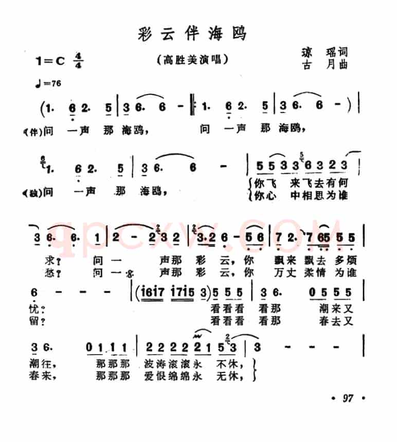 彩云伴海鸥