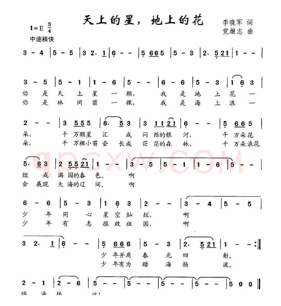 天上的星 地上的花