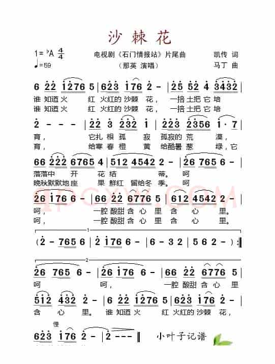 沙棘花（电视剧《石门情报站》片尾曲）