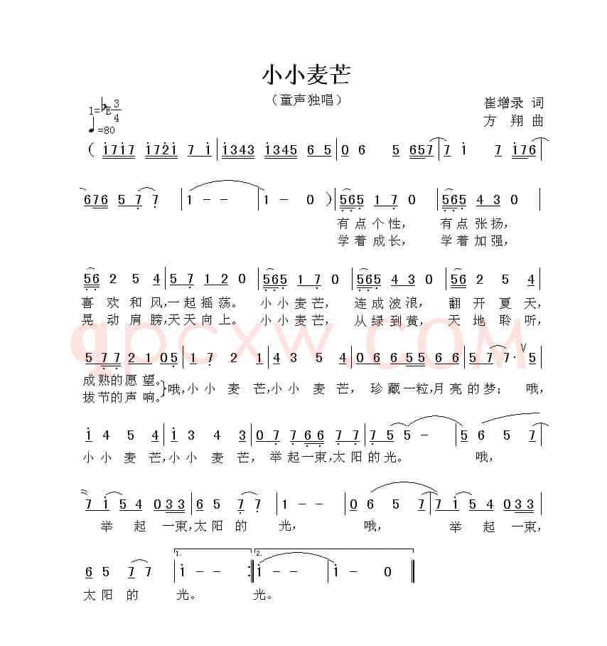 小小麦芒