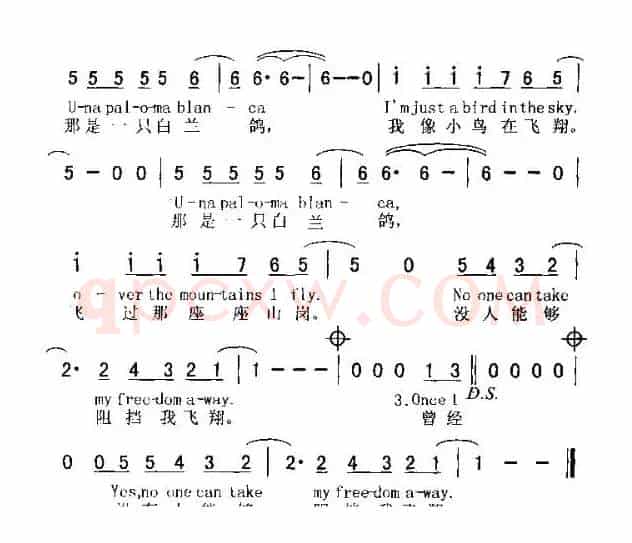 PALOMA BLANCA（白兰鸽）（ 中英文对照版）