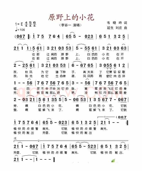 原野上的小花