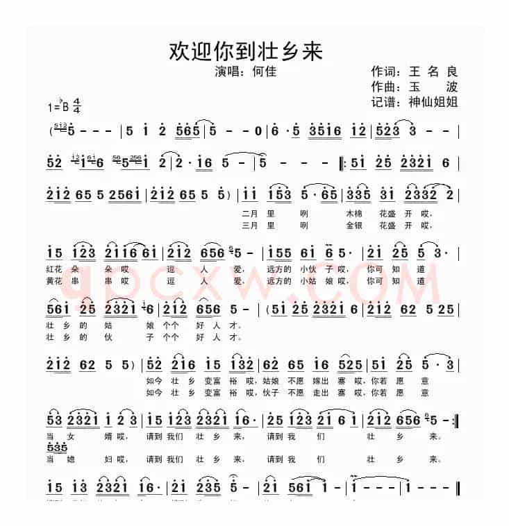 欢迎你到壮乡来