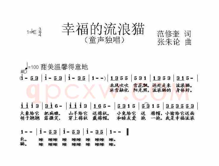 幸福的流浪猫