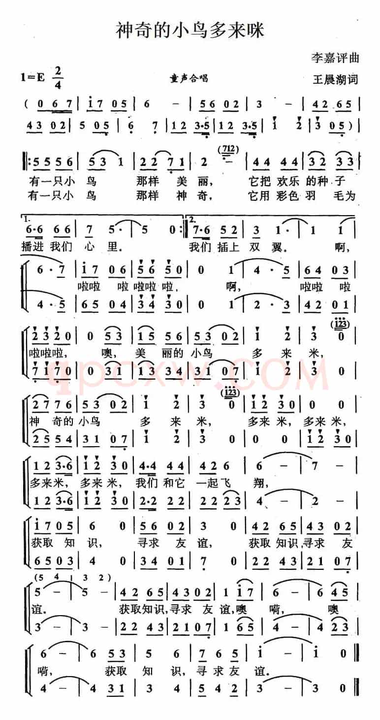 神奇的小鸟多来咪