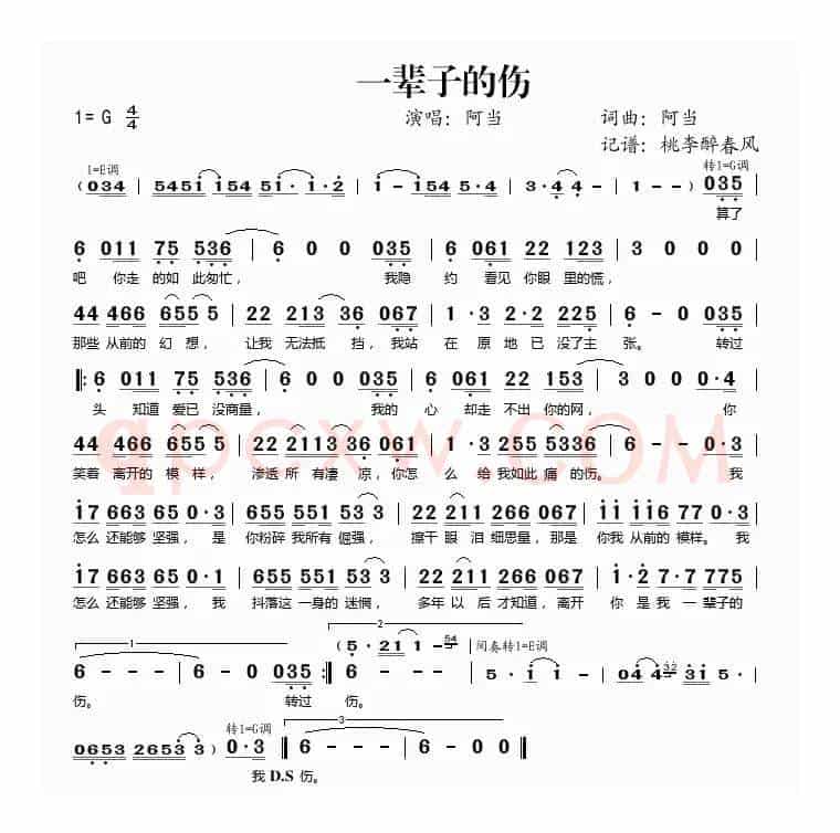 一辈子的伤