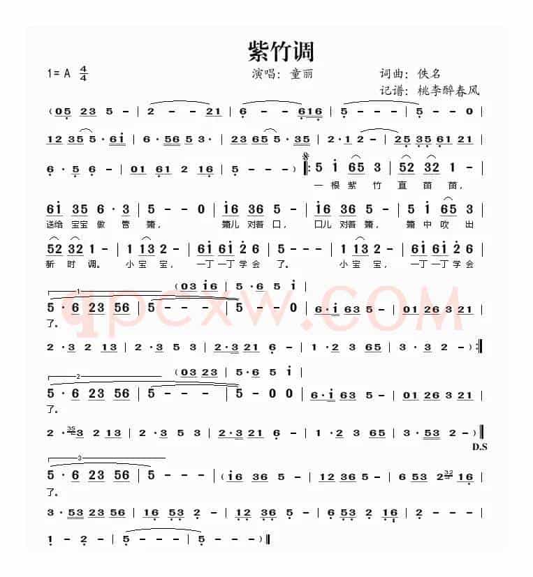 紫竹调