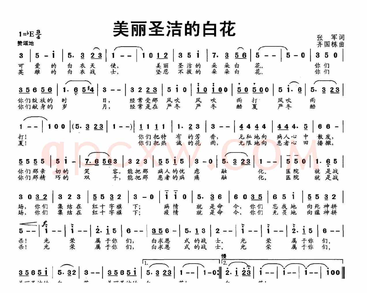 美丽圣洁的白花
