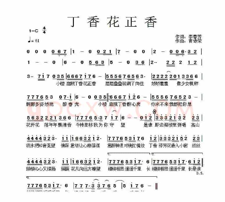 丁香花正香