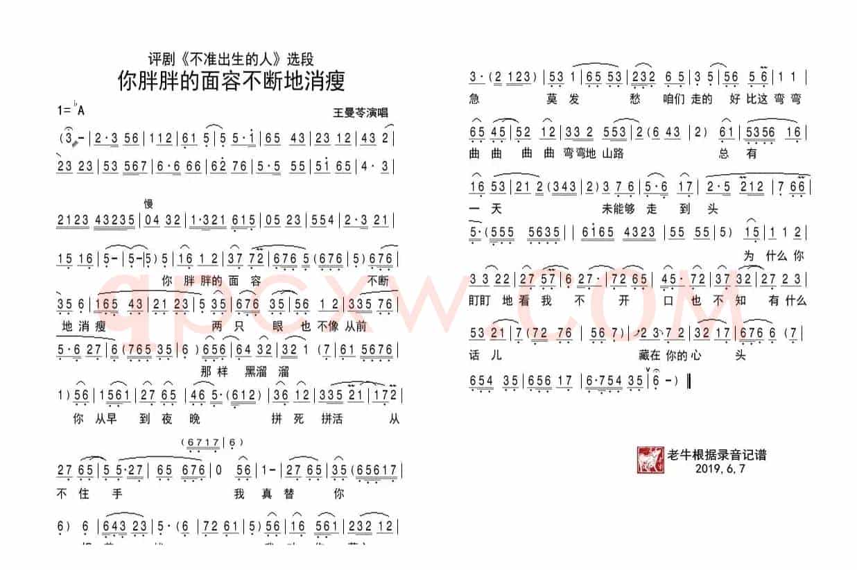 评剧《不准出生的人》你胖胖的面容