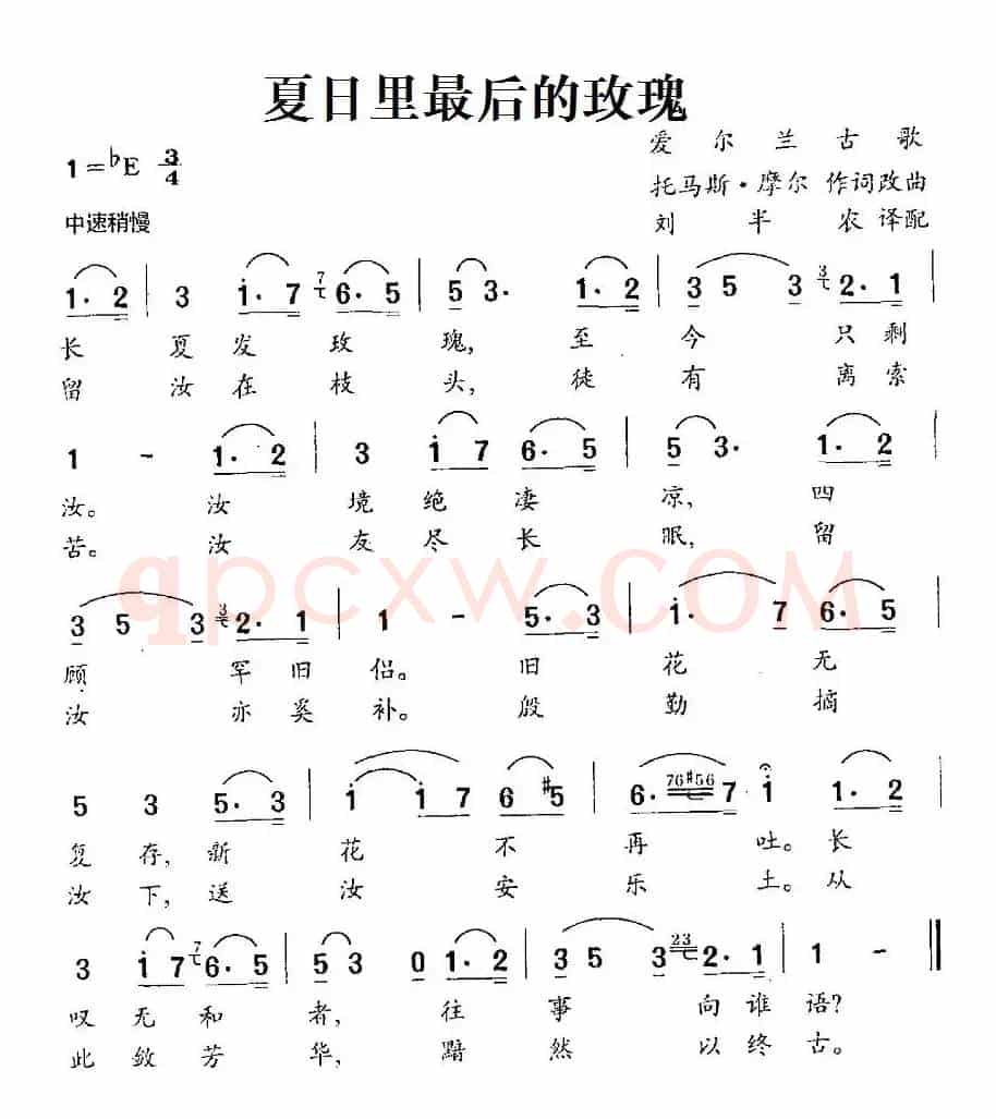 [爱尔兰]夏日里最后的玫瑰