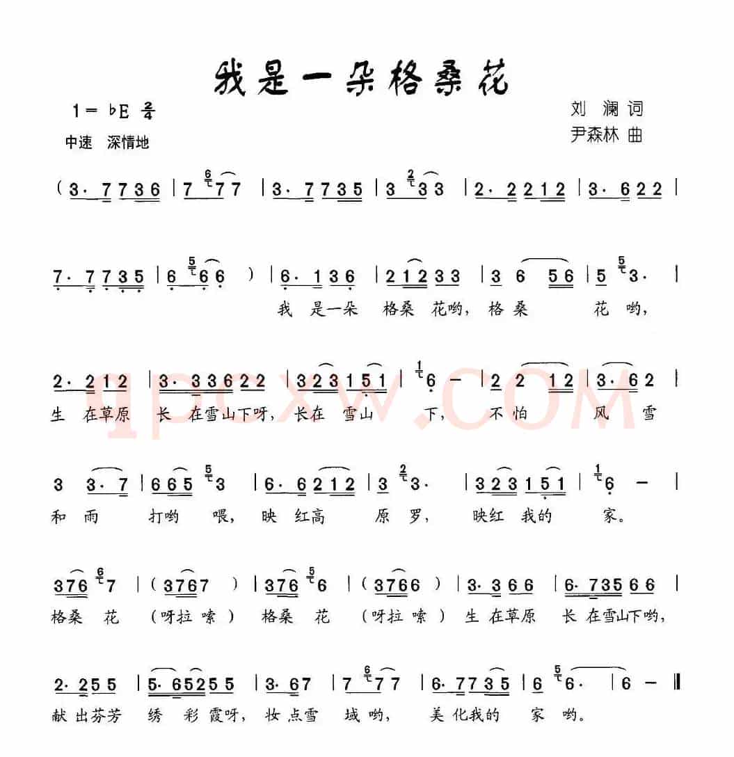 我是一朵格桑花