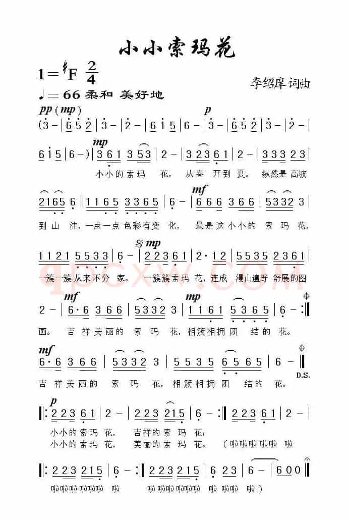 小小索玛花