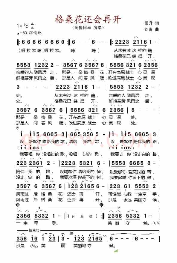 格桑花还会再开