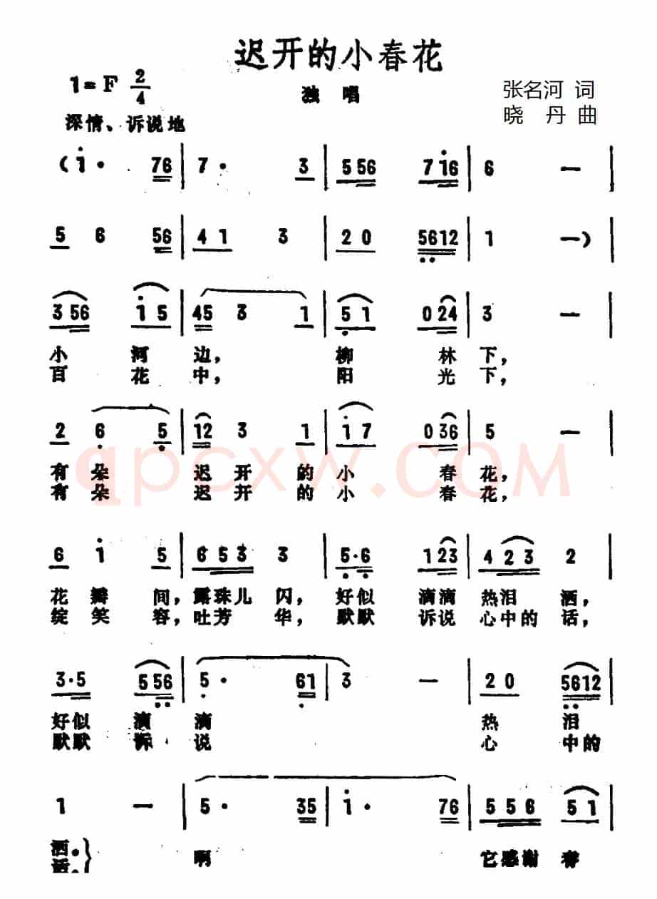 迟开的小春花
