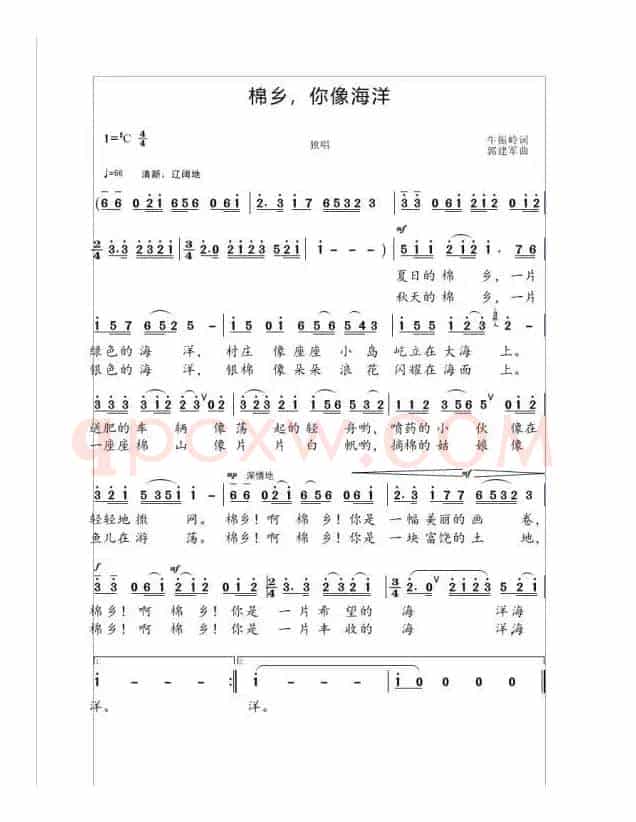 棉乡，你像海洋