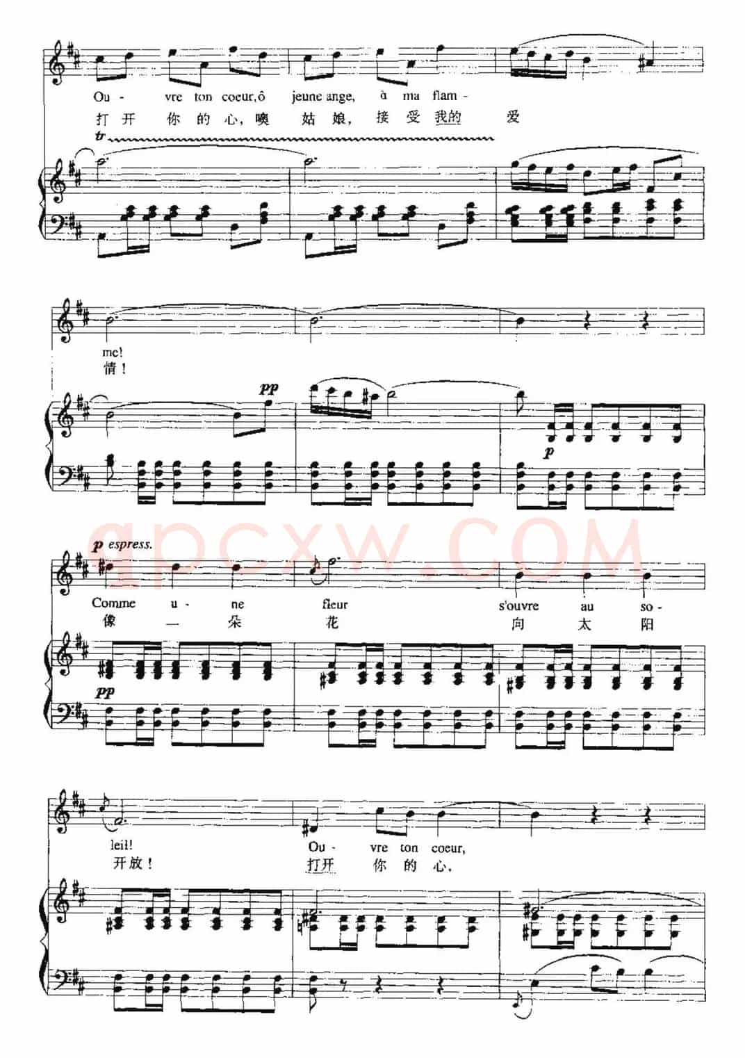 [法] 打开你的心（西班牙小夜曲）（中外文对照、正谱）
