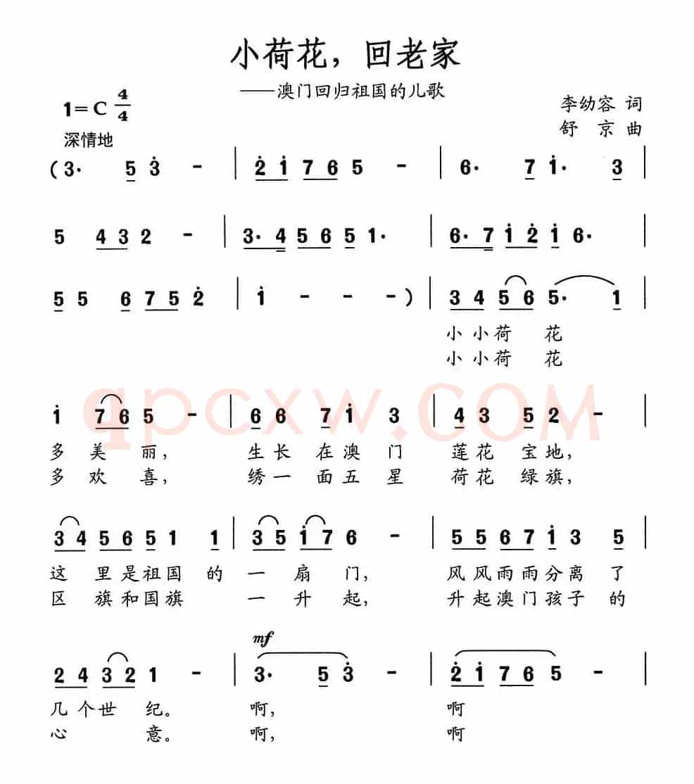 小荷花，回老家