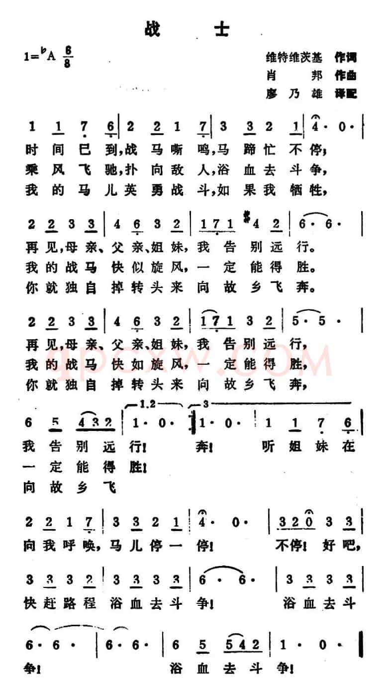 [波兰]战士