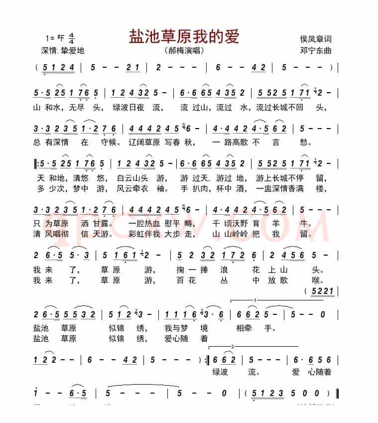 盐池草原我的爱