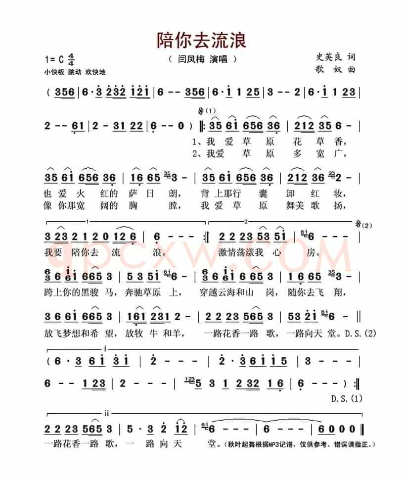 陪你去流浪