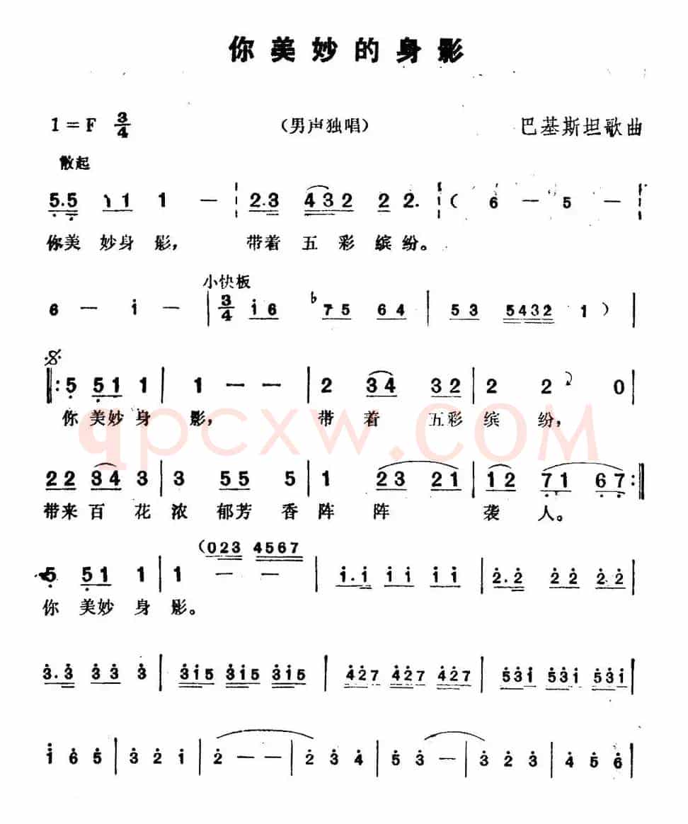 [巴基斯坦]你美妙的身影