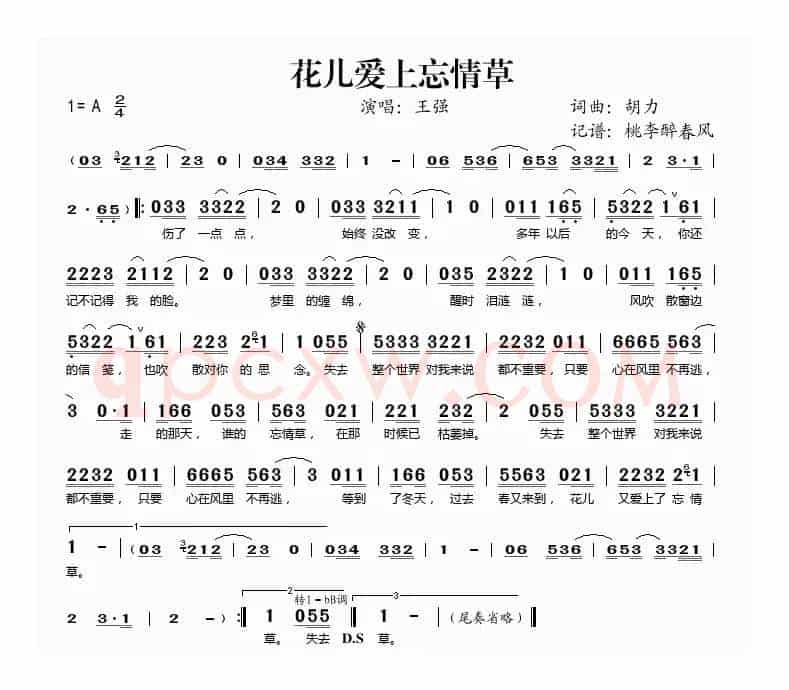 花儿爱上忘情草