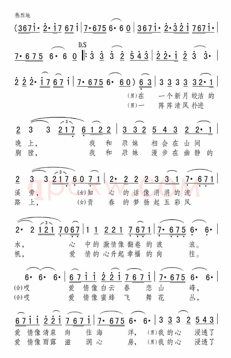 新月下的向往
