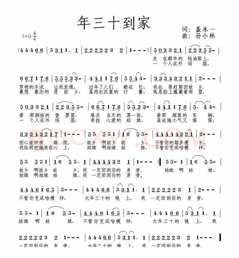 年三十到家