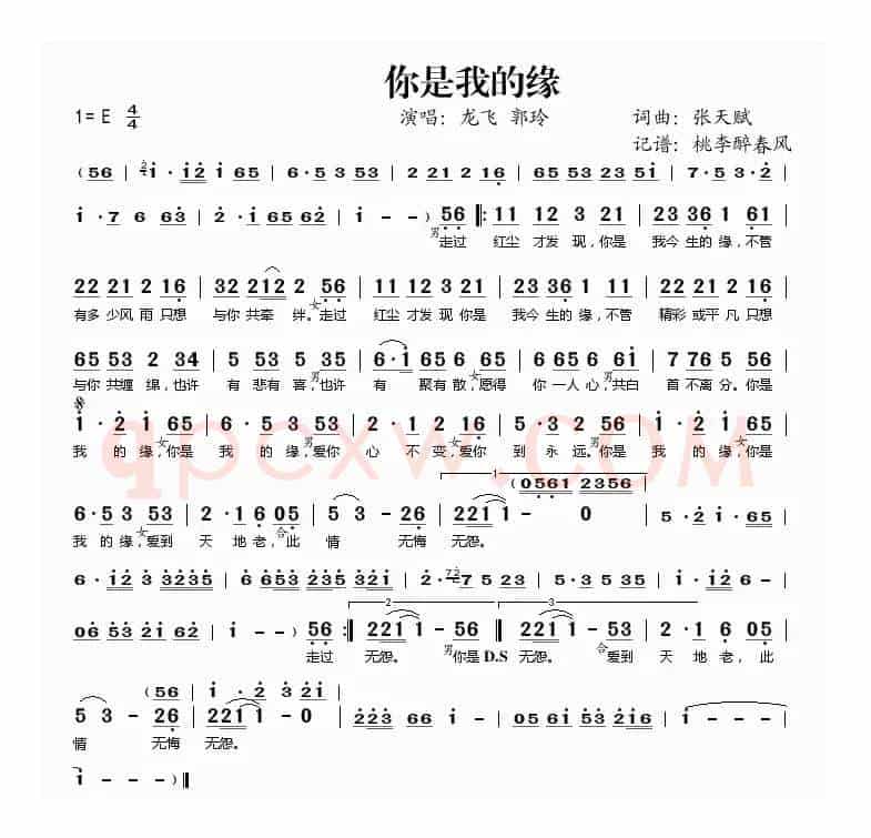 你是我的缘（张天赋词 张天赋曲）