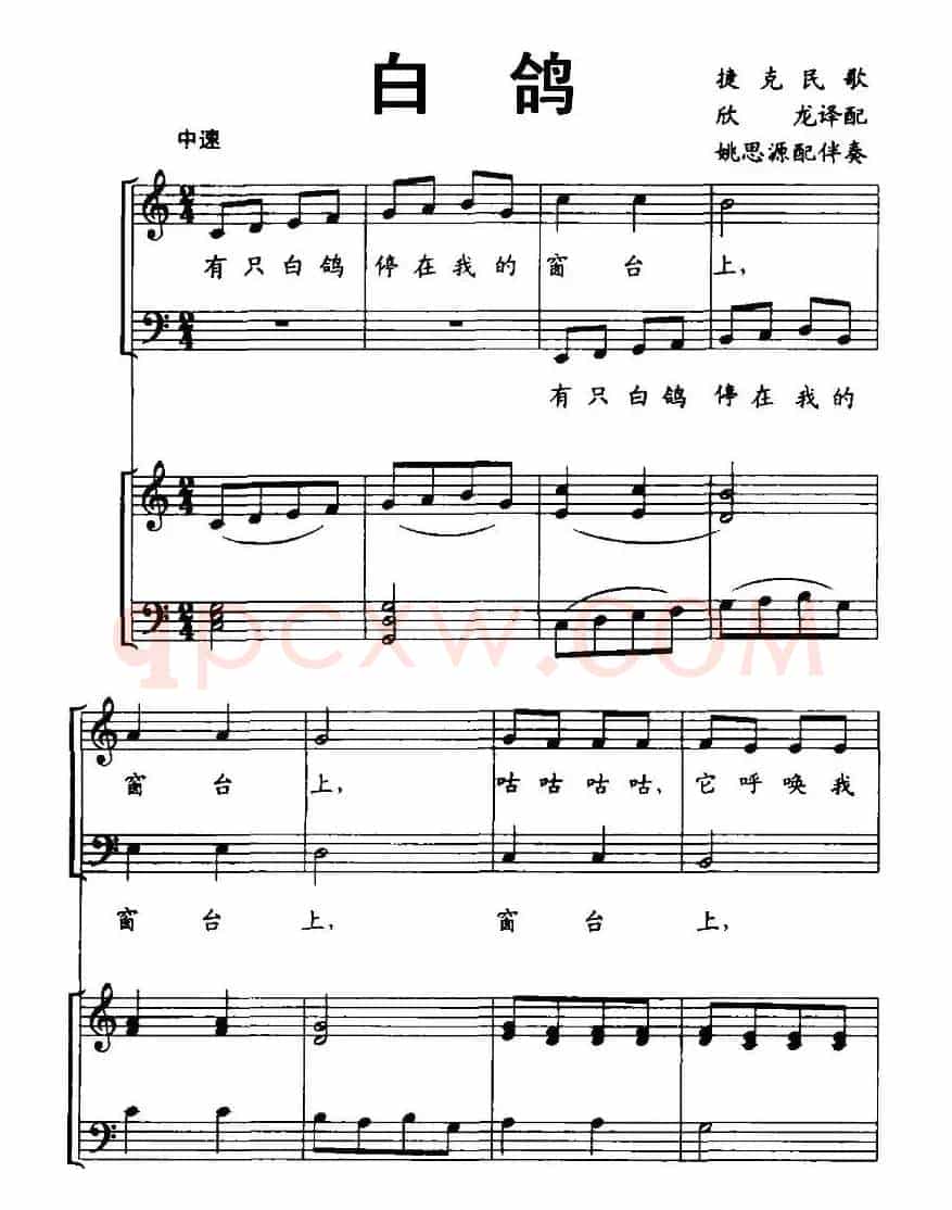 [捷克]白鸽（儿童合唱歌曲、正谱）