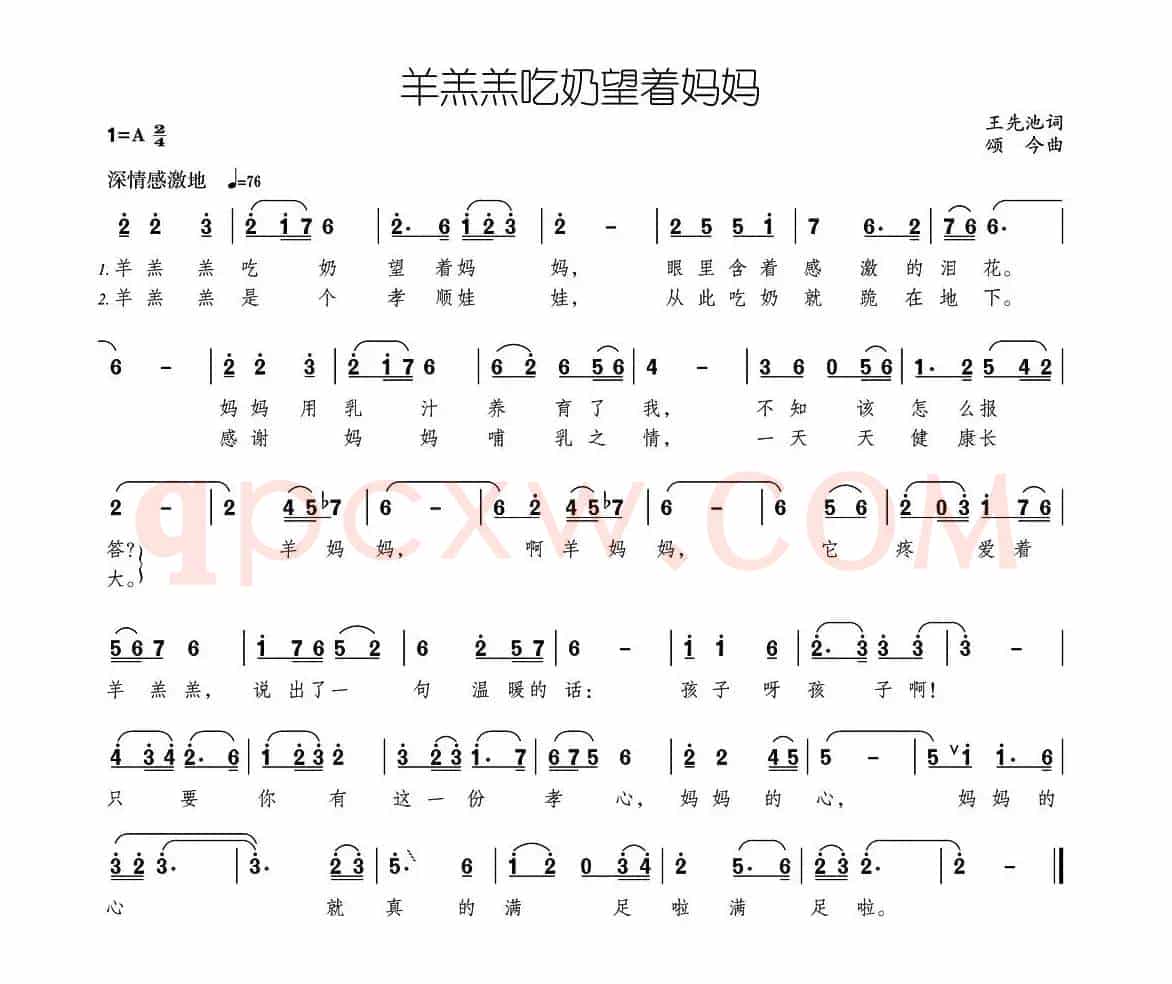 羊羔羔吃奶望着妈妈