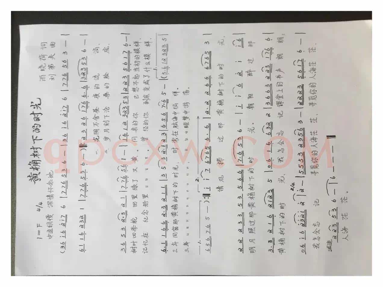 黄桷树下的时光