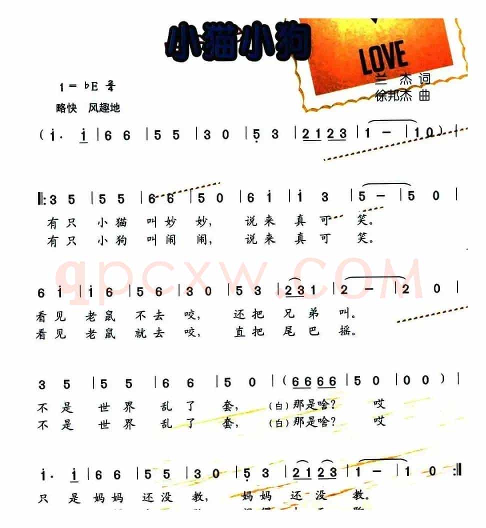 小猫小狗