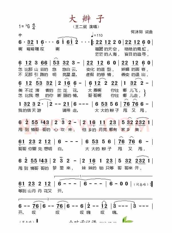 大辫子（完整版）