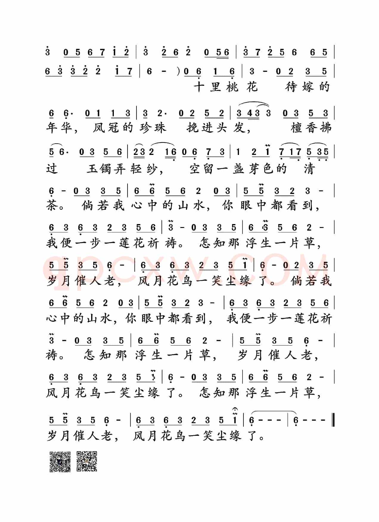 半壶纱