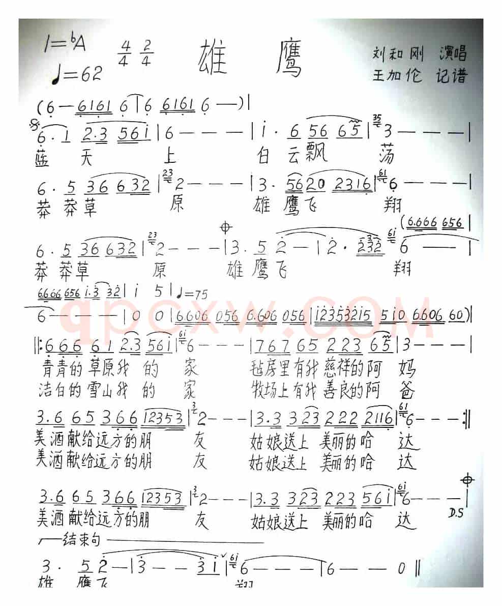雄鹰