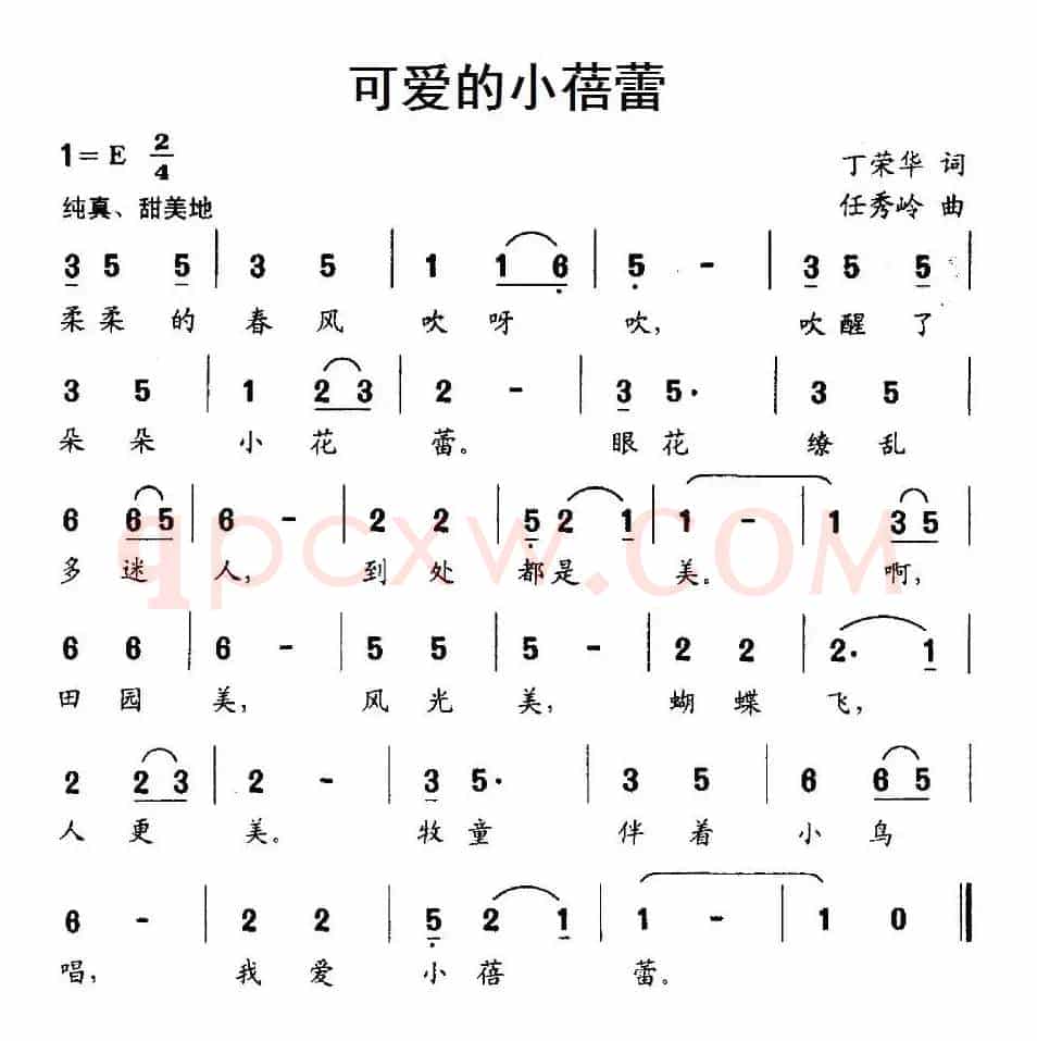 可爱的小蓓蕾