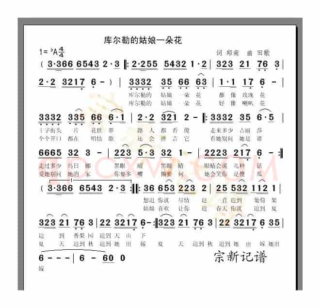 库尔勒的姑娘一朵花