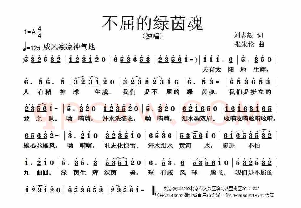 不屈的绿茵魂