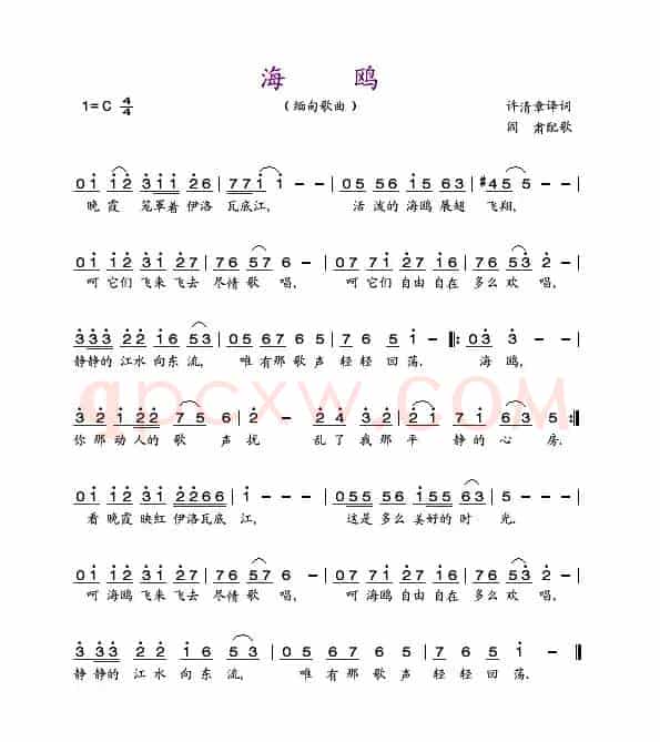 海鸥（缅甸歌曲 阎肃配歌）
