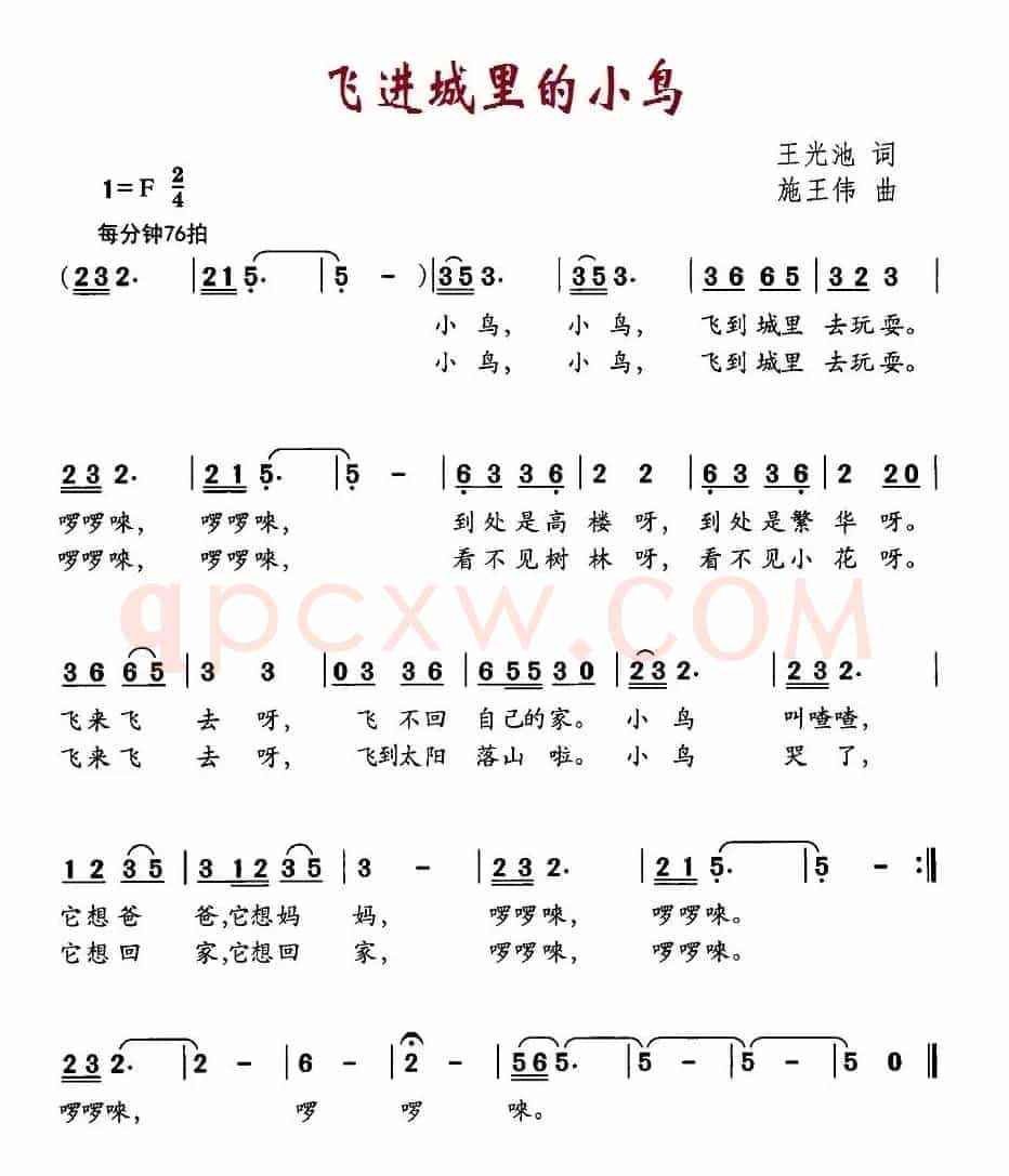 飞进城里的小鸟