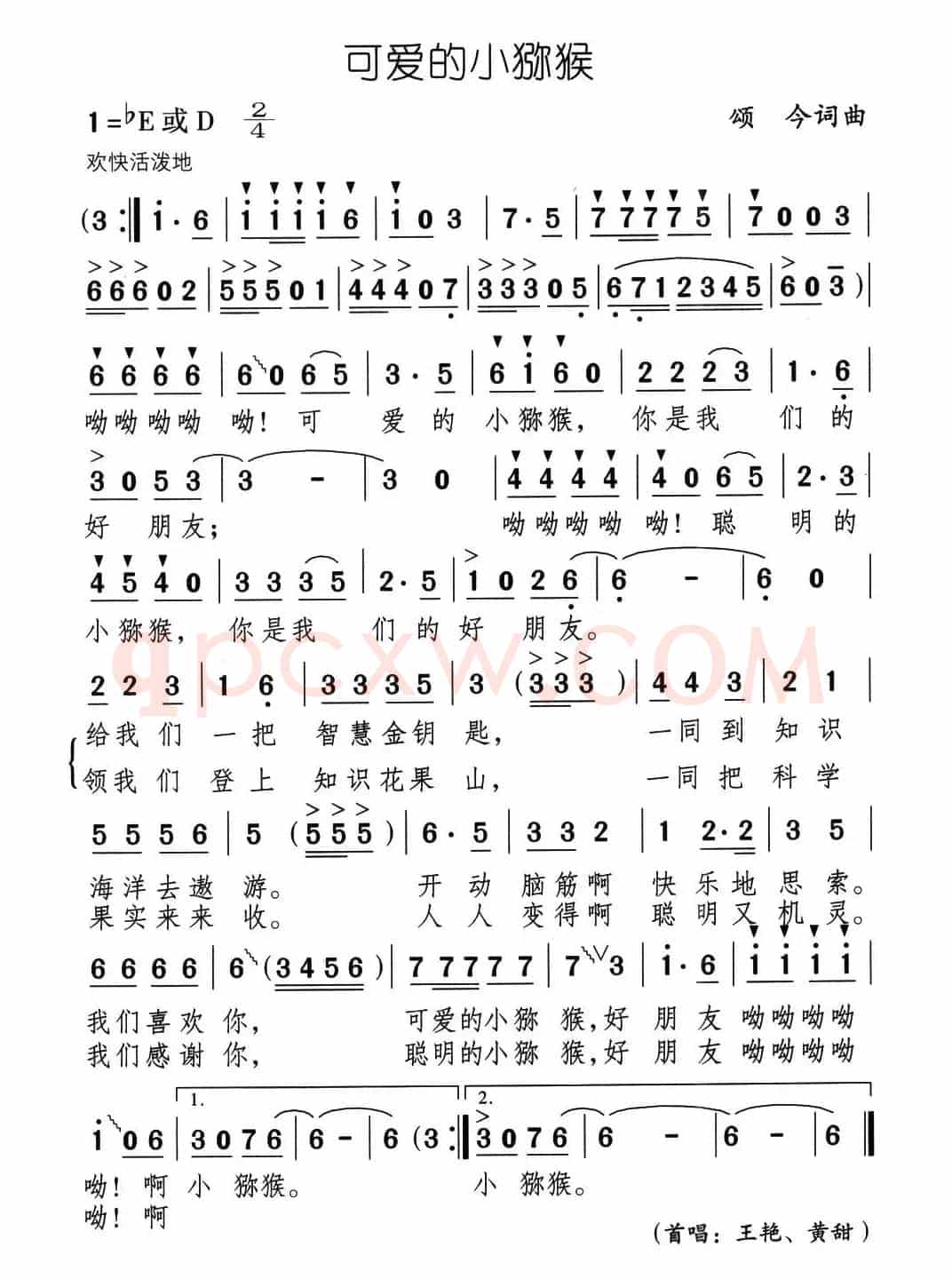 可爱的小猕猴