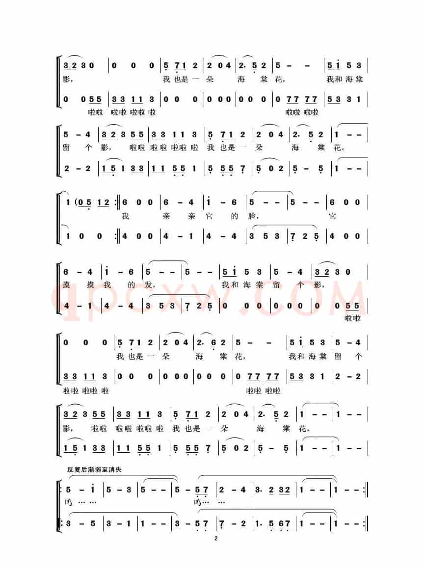校园里有一株海棠花