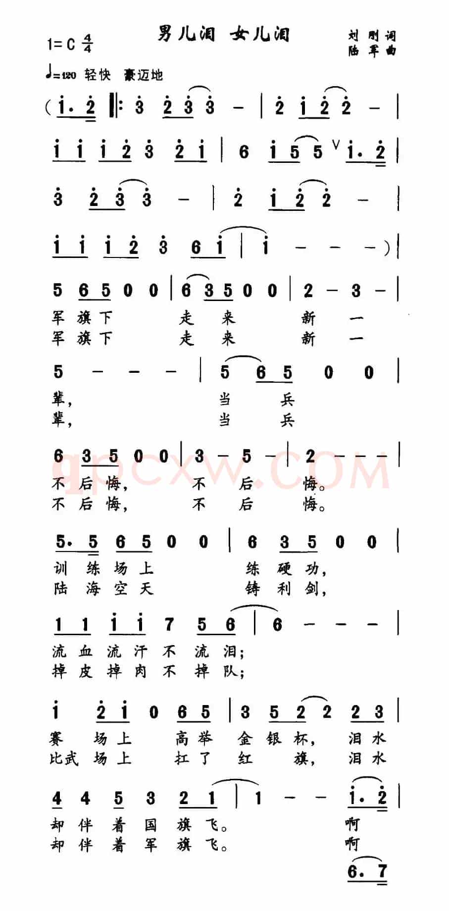 男儿泪 女儿泪