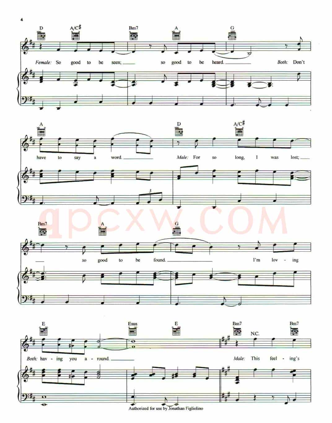 [美]What I've Been Looking For（我有多么寂寞）（正谱）