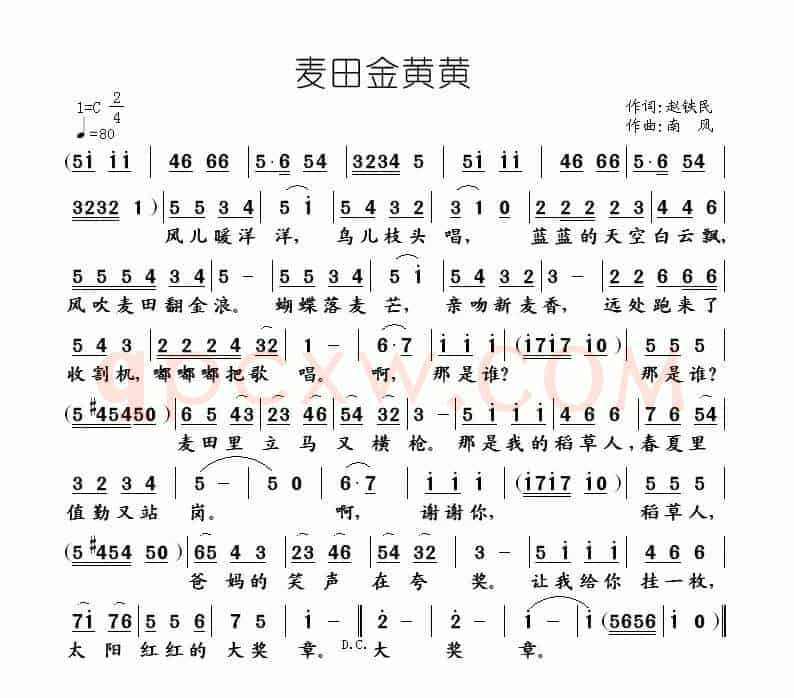 麦田金黄黄