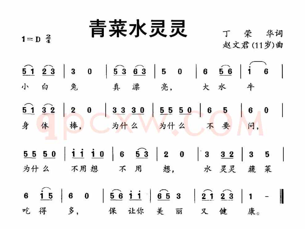 青菜水灵灵
