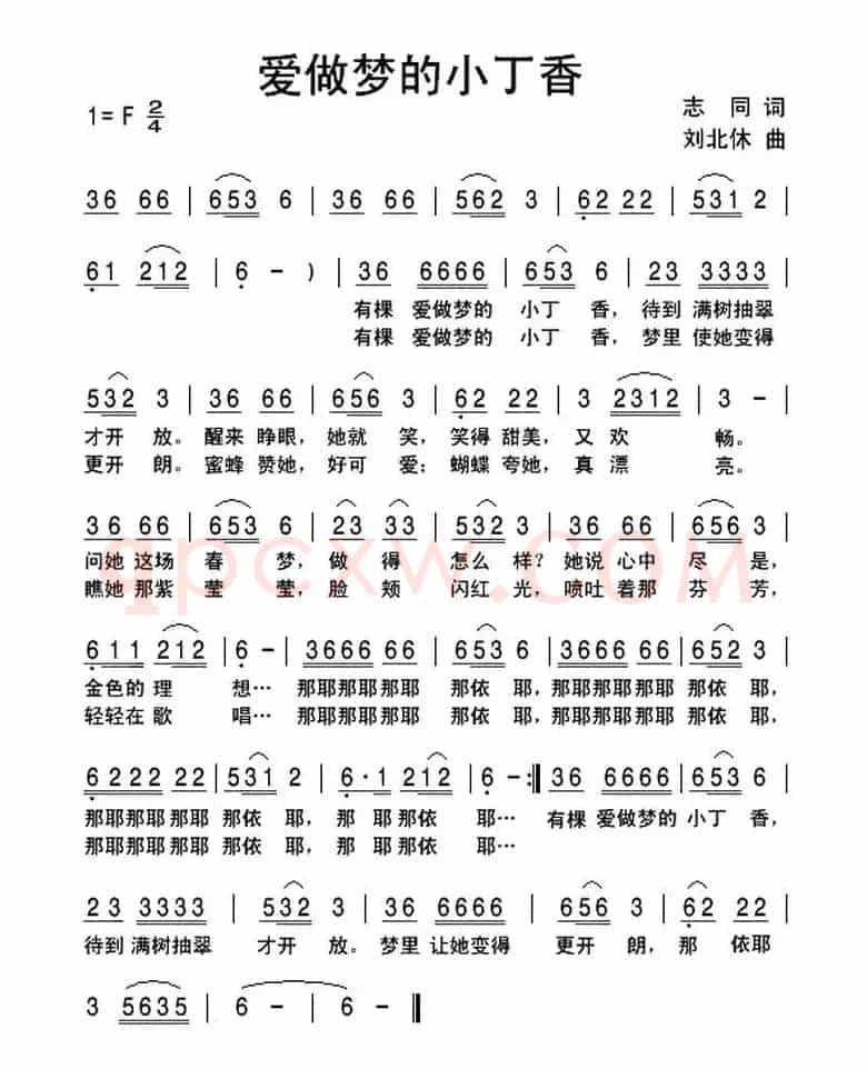 爱做梦的小丁香
