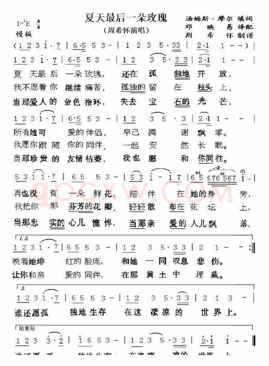 夏天最后一朵玫瑰（周希怀演唱）